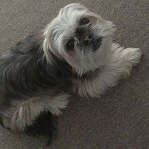 Meet your Posher, Marilin